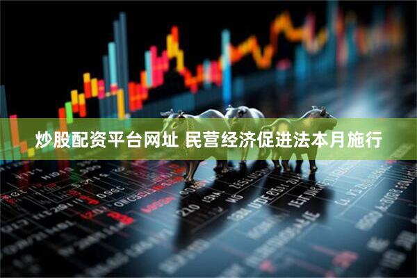 炒股配资平台网址 民营经济促进法本月施行