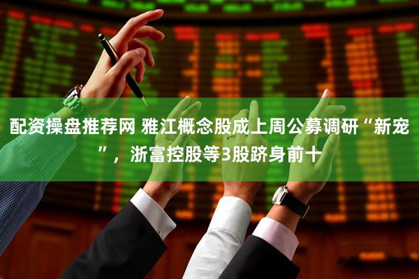 配资操盘推荐网 雅江概念股成上周公募调研“新宠”，浙富控股等3股跻身前十